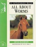 All about Worms No 16