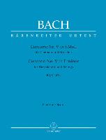 Concerto Nr. V für Cembalo und Streicher f-Moll BWV 1056