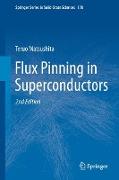 Flux Pinning in Superconductors