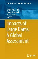 Impacts of Large Dams: A Global Assessment