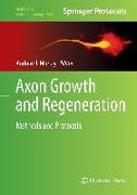 Axon Growth and Regeneration