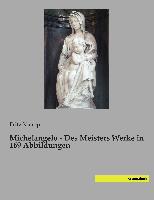 Michelangelo - Des Meisters Werke in 169 Abbildungen