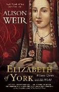 Elizabeth of York: A Tudor Queen and Her World