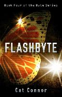 Flashbyte