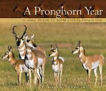 A Pronghorn Year: A Visual Tribute to North America's Pronghorn