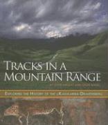 Tracks in a Mountain Range