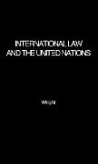 International Law and the United Nations
