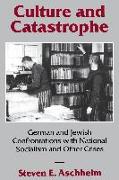 Culture and Catastrophe: German and Jewish Confrontations with National Socialism and Other Crises