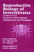 Reproductive Biology of Invertebrates, Progress in Male Gamete Ultrastructure and Phylogeny