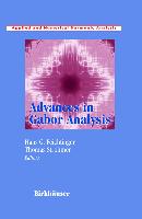 Advances in Gabor Analysis