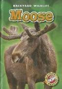 Moose