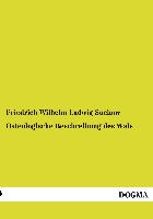 Osteologische Beschreibung des Wals