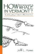 How Do You Get a Whale in Vermont?