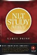 Study Bible-NLT-Large Print