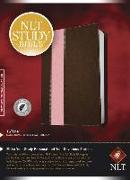 Study Bible-NLT