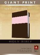 Giant Print Bible-NLT