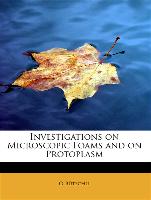 Investigations on Microscopic Foams and on Protoplasm