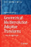 Geometrical Multiresolution Adaptive Transforms