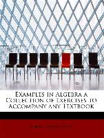 Examples in Algebra a Collection of Exercises to Accompany any Textbook