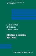 Ginzburg-Landau Vortices