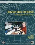 Between State and Market: Mass Privatization in Transition Economies