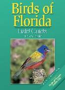 Birds of Florida Field Guide