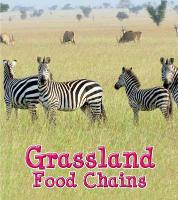 Grassland Food Chains