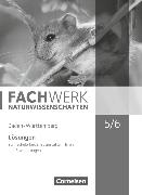 Fachwerk Naturwissenschaften, Baden-Württemberg, 5./6. Schuljahr: Biologie, Naturphänomene und Technik, Lösungen zum Schülerbuch