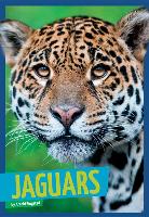 Jaguars