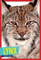 Lynx