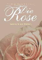 Die Rose: Geschichte und Symbolik
