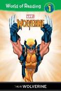 This Is Wolverine