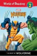 Story of Wolverine