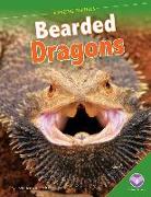 Bearded Dragons