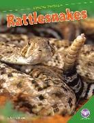 Rattlesnakes