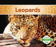 Leopards