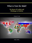 What Is Next for Mali? the Roots of Conflict and Challenges to Stability (Enlarged Edition)