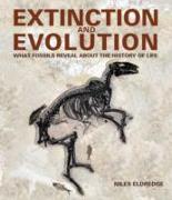 Extinction and Evolution: What Fossils Reveal about the History of Life