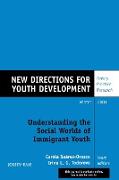 Understanding the Social Worlds of Immigrant Youth