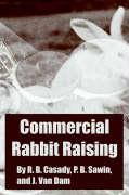 Commercial Rabbit Raising