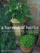 Harvest of Herbs