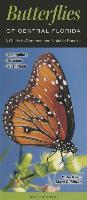 Butterflies of Central Florida: A Guide to Common & Notable Species