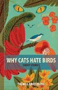 Why Cats Hate Birds