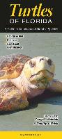 Turtles of Florida: A Guide to Common & Notable Species