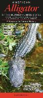 American Alligator of the Southern United States: A Guide to Its Natural History