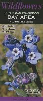 Wildflowers of the San Francisco Bay Area: A Guide to Common & Notable Species