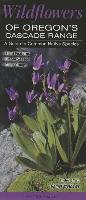 Wildflowers of the Oregon's Cascade Range: A Guide to Common Native Species