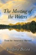 The Meeting of the Waters