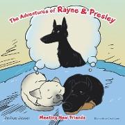 The Adventures of Rayne & Presley