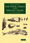 The Fossil Fishes of the English Chalk